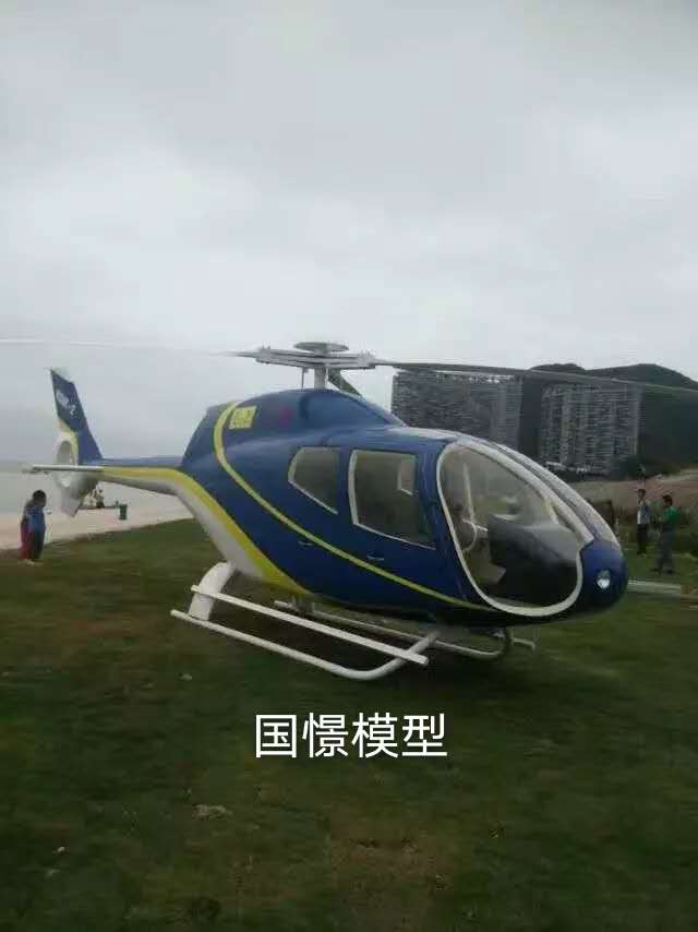 乐安县飞机模型